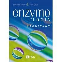 enzymologia podstawy