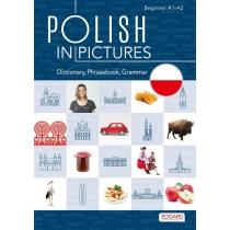 polish in pictures/polski w obrazkach. słówka