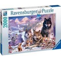 puzzle 2000 el. wilki w śniegu ravensburger