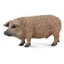 świnia węgierska mangalica