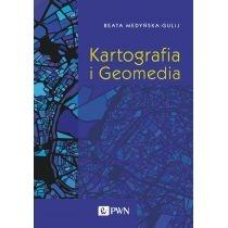 kartografia i geomedia