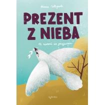 prezent z nieba. 12 historii od przyjaciela