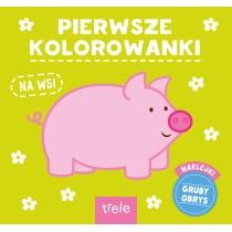 pierwsze kolorowanki. na wsi