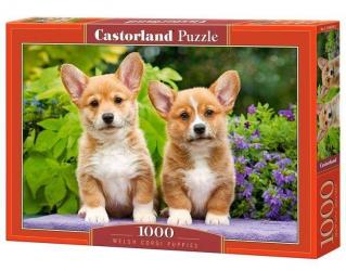 puzzle 1000 szczenięta welsh corgi c-104659-2 -