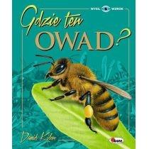 gdzie ten owad?