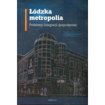 łódzka metropolia problemy integracji gospodarczej