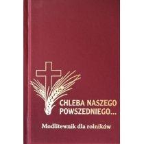 modlitewnik - chleba naszego powszedniego...