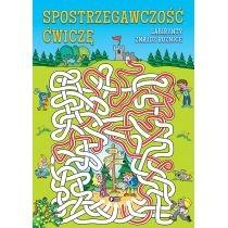 spostrzegawczość ćwiczę. labirynty znajdź różnice