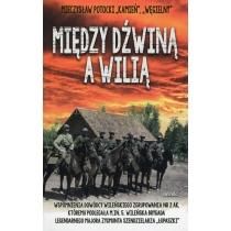 między dźwiną a wilią