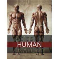 atlas of human anatomy