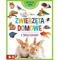 wszystko wiem! zwierzęta domowe