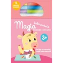 kolorowanka z magicznymi flamastrami 3+ różowa