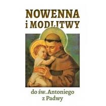 nowenna i modlitwy do św. antoniego z padwy