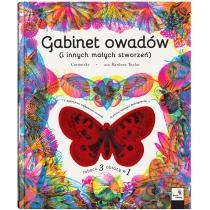 gabinet owadów (i innych małych stworzeń)