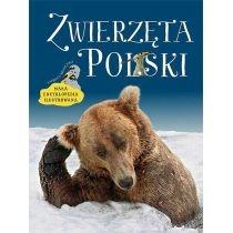 zwierzęta polski. mała encyklopedia ilustrowana