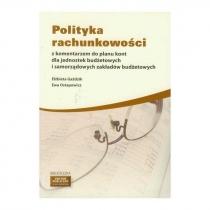 polityka rachunkowości z komentarzem do planu kont dla jedn