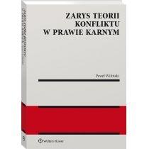 zarys teorii konfliktu w prawie karnym