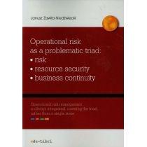 operational risk as a problematic triad risk resiurce securi