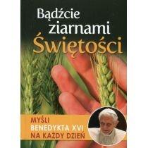 bądźcie ziarnami świętości. myśli benedykta xvi