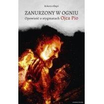 zanurzony w ogniu