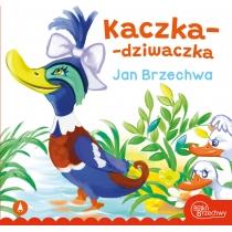 kaczka-dziwaczka