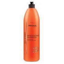 chantal prosalon regenerating shampoo for damaged and colour