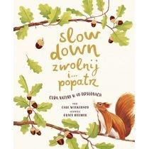 slow down. zwolnij i popatrz. cuda natury..