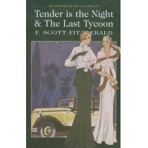 tender is the night & the last tycoon