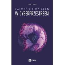 założenia działań w cyberprzestrzeni