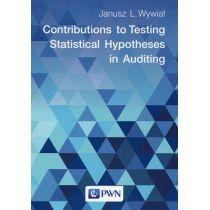 contributions to testing statistical hypotheses in auditing