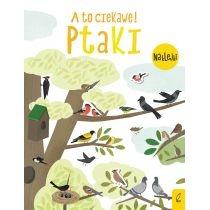 a to ciekawe! ptaki