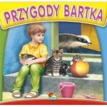 sztywne strony kwadrat. przygody bartka 585