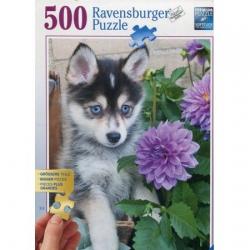 puzzle 500 el. śliczny husky ravensburger