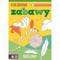 rośliny kolorowe zabawy