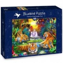 puzzle 1000 el. rodzinka tygrysów w dżungli bluebird puzzl