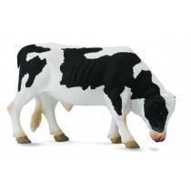 byk friesian