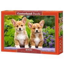 puzzle 1000 el. szczenięta welsh corgi castorland