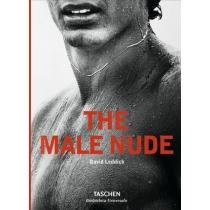 male nude