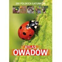 atlas owadów. 250 polskich gatunków