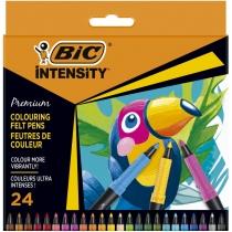 bic pisaki intensity 24 kolory