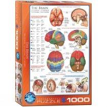 puzzle 1000 el. the brain 6000-0256 eurographics