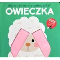 gdzie ukryły się zwierzątka - owieczka