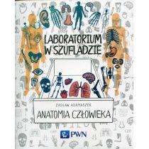 laboratorium w szufladzie. anatomia człowieka