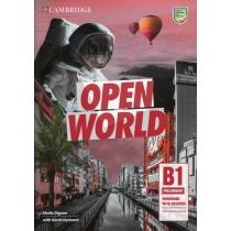 open world preliminary workbook with answers with audio down