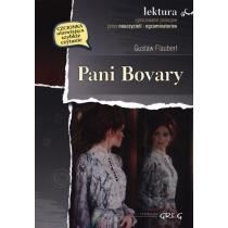 pani bovary