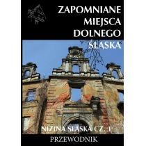 zapomniane miejsca dolnego śląska. nizina śląska 1