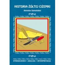 historia żółtej ciżemki antoniny domańskiej