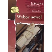 wybór nowel - antek, nawrócony, michałko, katarynka, kami