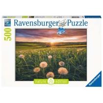 puzzle 500 el. łąka ravensburger