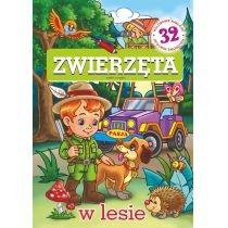 zwierzęta w lesie pasja